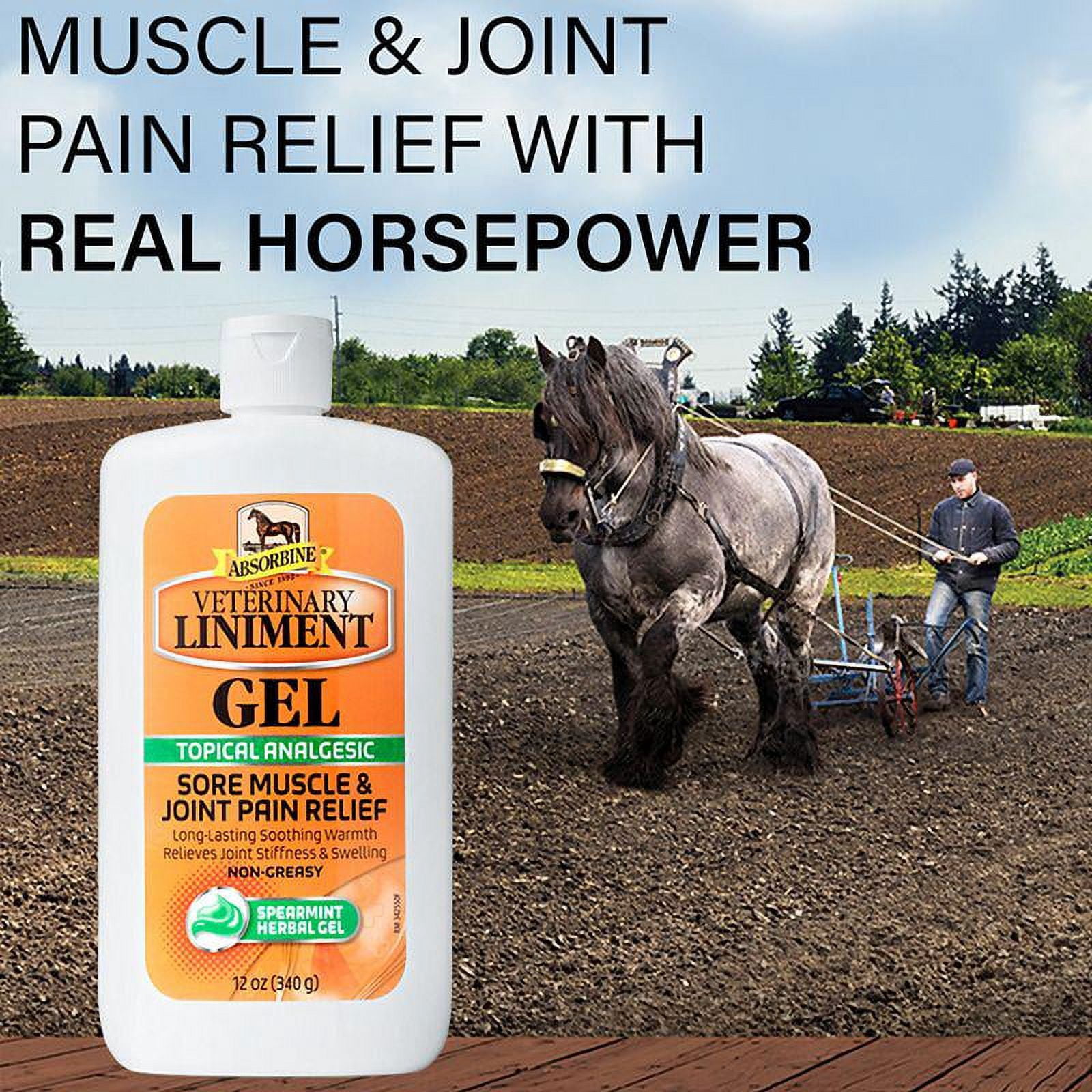 Absorbine Veterinary Horse Liniment Gel, 12 oz.