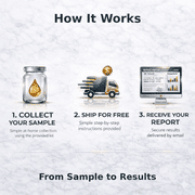 GSL Trimethylamine N-oxide (TMAO) Home Test Kit, LC-MS Assay
