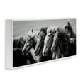 thumbnail image 3 of Stupell Industries Monochrome Horse Herd Gallop Animals Photography White Framed Art Print Wall Art, 30 x 13, 3 of 8