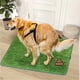 thumbnail image 1 of Estera de hierba para perros, almohadilla para orinar, estera de hierba lavable para perros, reutilizable, Control de olores para entrenamiento de mascotas, almohadilla para orinar de fácil limpieza, 1 of 7