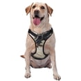 thumbnail image 1 of KLL Swordsman Cool Dragon Pattern Dog Harness - Lightweight,Soft,Adjustable Small Harness and Leash Set-Small, 1 of 6