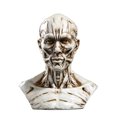 thumbnail image 1 of 4 "Human Skull Drawing Antique White, 1 of 6