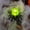 Green, variant on Gallickan Orange Halloween Spider LED Candle Light, Dripping Flameless Candle Figurine Spooky Tabletop Decor