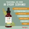 thumbnail image 3 of MaryRuth's Organic Lemon Balm Leaf Liquid Extract Herbal Supplement Drops, 590 mg, Lemon Flavor, Vegan, Gluten-Free, Dairy-Free, Unisex, 1 fl oz, 3 of 9