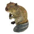 thumbnail image 1 of Design Toscano QM2447200 Standing Beaver Statue,full color, 1 of 7