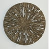 19" X 2" Brown Round Rotten Wood Wall Decor