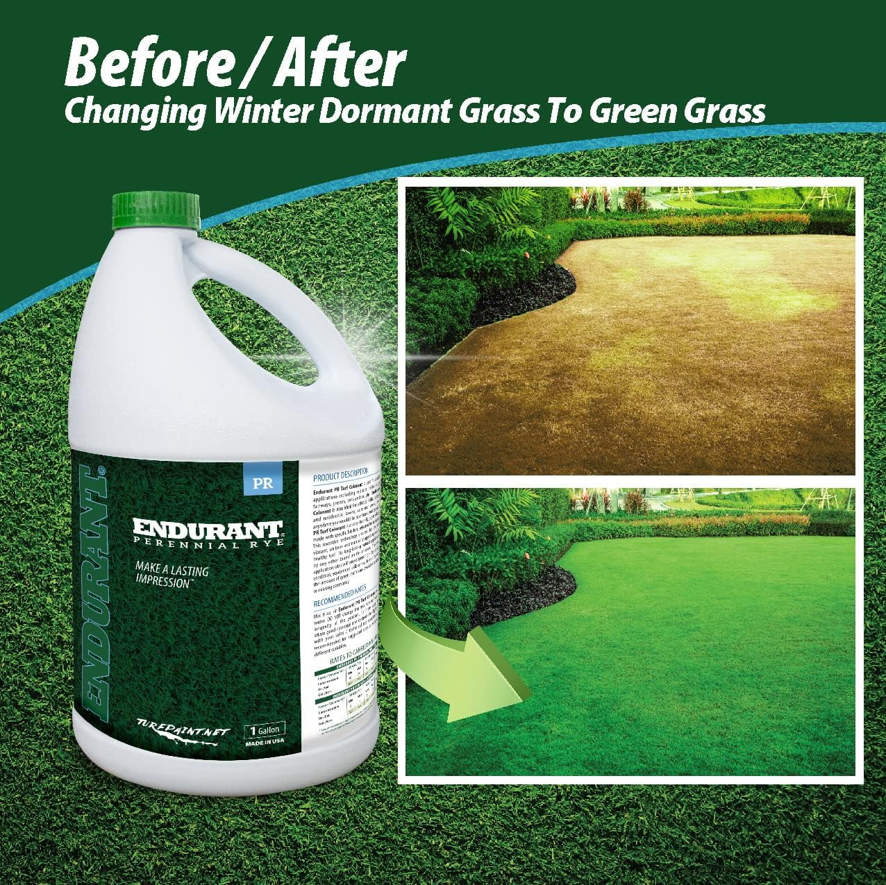 Endurant Turf Colorants - Perennial Rye Spray Green Grass Paint For Lawns - Revives Dry, Patchy Yards - Light Grass Hue - Easy To Use, Concentrated Turf Grass Dye - Covers Approx 10,000 Sq Ft - 1 Gal