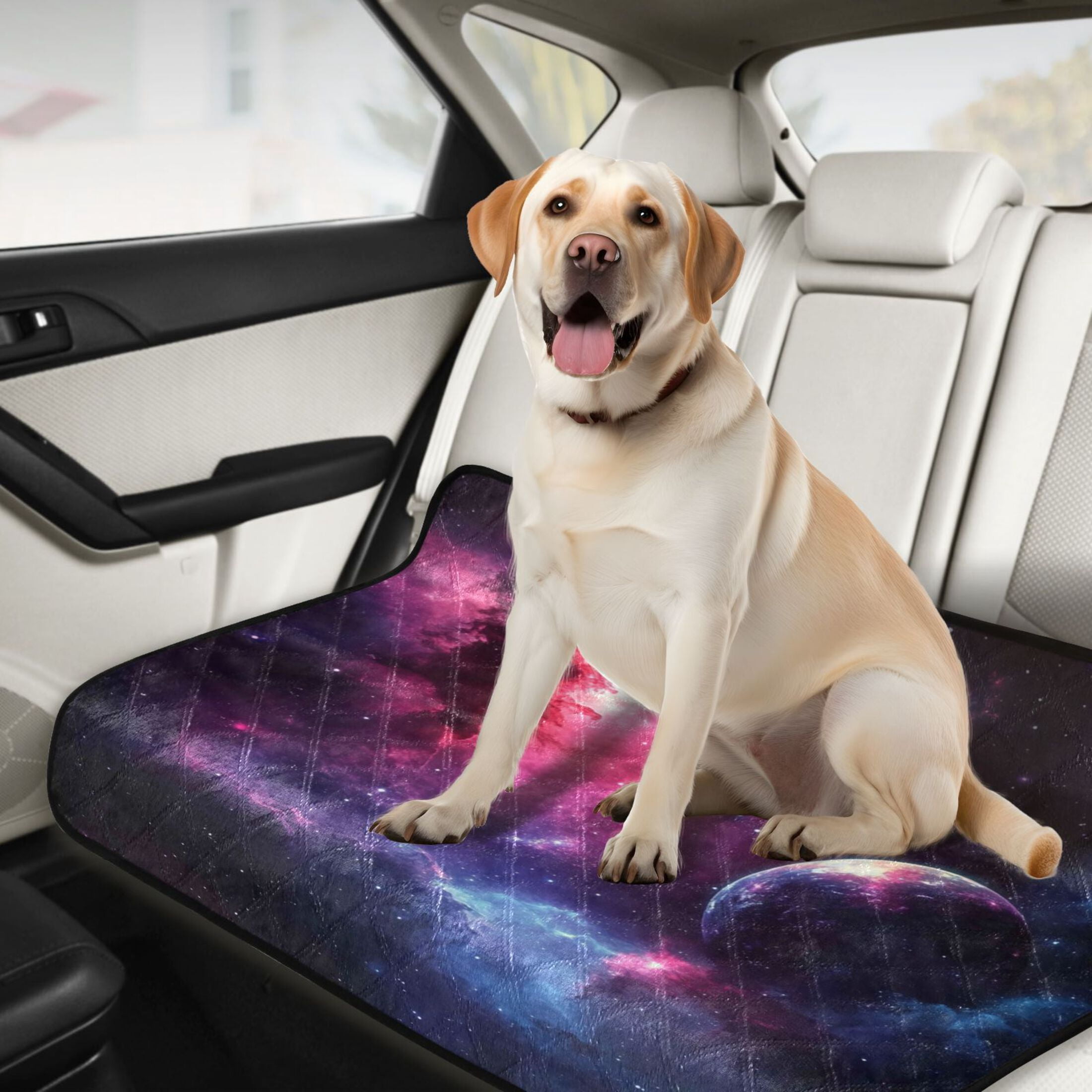Washable Pet Pee Pads with Super Absorbent Reusable Training Pads for Dogs & Cats Vibrant Space Background