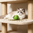 thumbnail image 2 of Interactive Cat Toy Ball, Automatic Smart Rolling Cat Ball, USB Rechargeable Motion Activated Cat Toy for Indoor Cats, boredom relief Green, 2 of 6