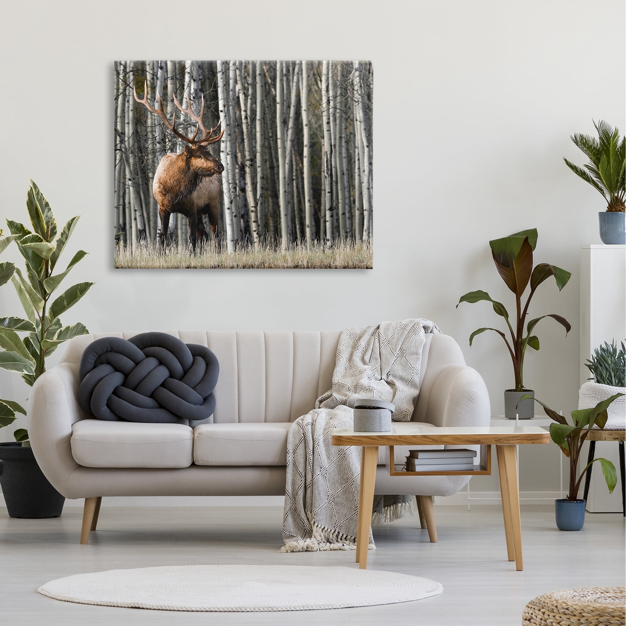 Stupell Industries Elk Looming Out Birch Trees Animal Forest Photograph,48 x 36, Design by Danita Delimont