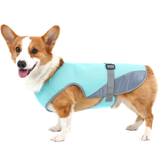 Chaleco TFixol Turquesa Pequeño