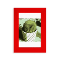 thumbnail image 1 of Mexican Cactus Strong Flower Picture Display Art Red Photo Frame, 1 of 4