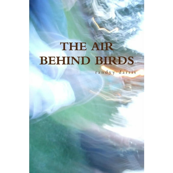 The Air Behind Birds, (Paperback)
