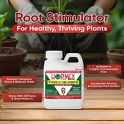 Hormex Vitamin B1 Rooting Hormone Concentrate – Root Stimulator and Root Hormone, 4oz