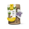 thumbnail image 1 of Seeds are Easy-Lavender Tea, 1 of 2