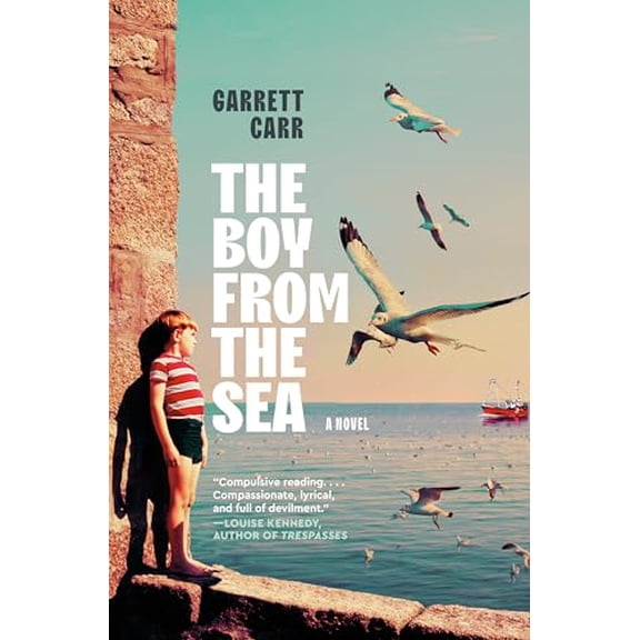 Pre-Owned The Boy from the Sea (Hardcover) 0593802888 9780593802885