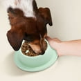 thumbnail image 4 of Slow Feed Dog Slow Feeding Eating Bowl Stop Puppy Eating Pet Feeder Shape An Ti Food Bowl Cat Bowl Dog Bowl Slow Feeding Bowl Pet Feeder Dog Accessories 24 Accessory Dog Novelty Dog Accessories Dog, 4 of 7