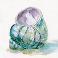 thumbnail image 3 of Robinson, Carol 12x12 Black Modern Framed Museum Art Print Titled - Malecon Shell V, 3 of 5
