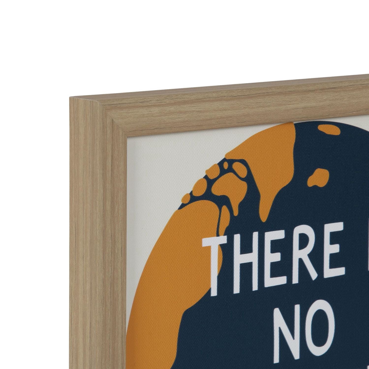 Hometrends "There is No Planet B" Framed Magnet Board