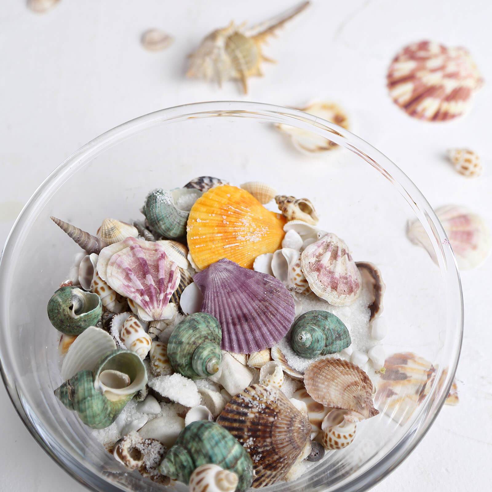 150g Mixed Natural Seashell Decor Beach Shells Vase Fillers