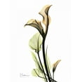 thumbnail image 2 of Koetsier, Albert 12x14 Black Ornate Wood Framed with Double Matting Museum Art Print Titled - Calla Lily Duo, 2 of 4