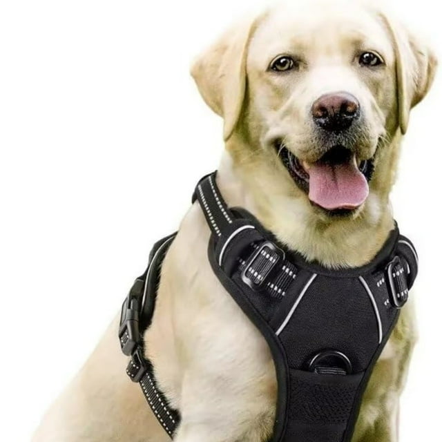 PawSafety Harnais Anti-Traction pour - Solution Idéale pour un Usage Quotidien