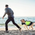 thumbnail image 4 of Dog Safety Vest Swimsuit Adjustable Removable Pet Rescue Vest (green - S), 4 of 5