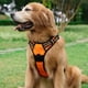 thumbnail image 4 of Tirantes para perros, tirantes para mascotas sin tracción con 1 clip de cuero, chalecos para perros acolchados ajustables, chalecos para mascotas Oxford sin obstáculos reflectantes, con manijas f, 4 of 5
