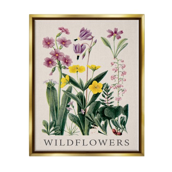 Stupell Industries Various Wildflowers Study Botanical & Floral Painting Gold Floater Framed Canvas Art Print Wall Art, 25 x 31