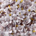 thumbnail image 1 of Cabezas de flores artificiales de margaritas para álbum de recortes, caja de dulces Diy, fiesta de boda, decoración del hogar, hecha a mano Corona de Navidad, seda A0144, 50 piezas, 1 of 4