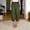 Army Green, variant on Afuyipoi Women's Capris Pants Cropped Harem Pants With Pocket Loose Fit Casual Pants For Summer Army Green Size 2XL