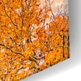 thumbnail image 3 of Epic Art 'Wyoming Autumn' by Mark A Paulda, Acrylic Glass Wall Art, 16"x12", 3 of 8