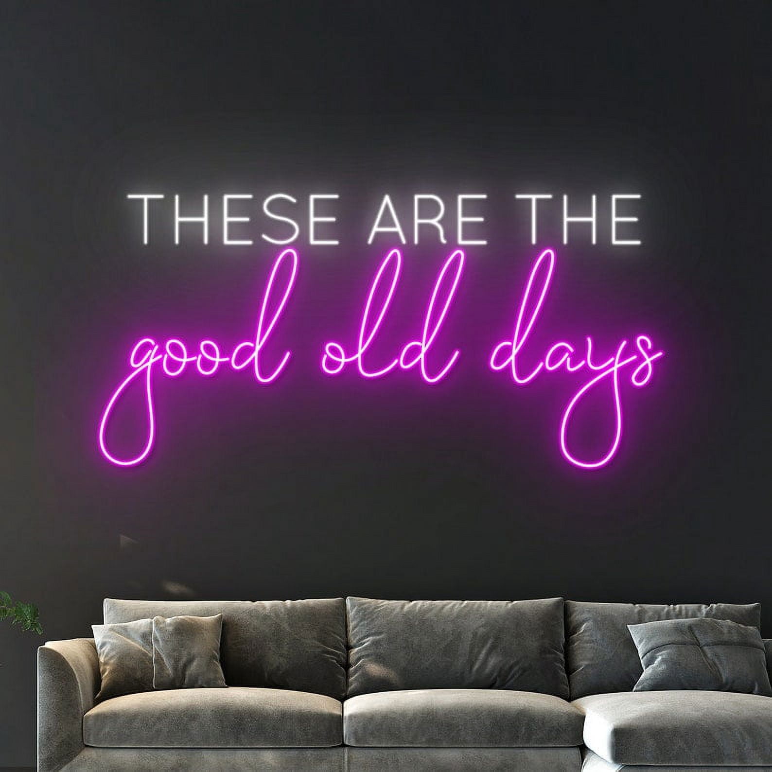 Handmadetneonsign These Are The Good Old Days Neon Sign, Phrase Saying LED Light, Text Led Sign