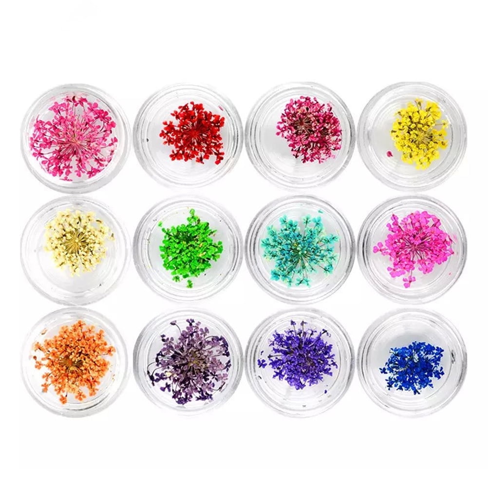 Rosarivae 12 Boxes 12 Colors Nail Real Dried Flower Nail Art Tips