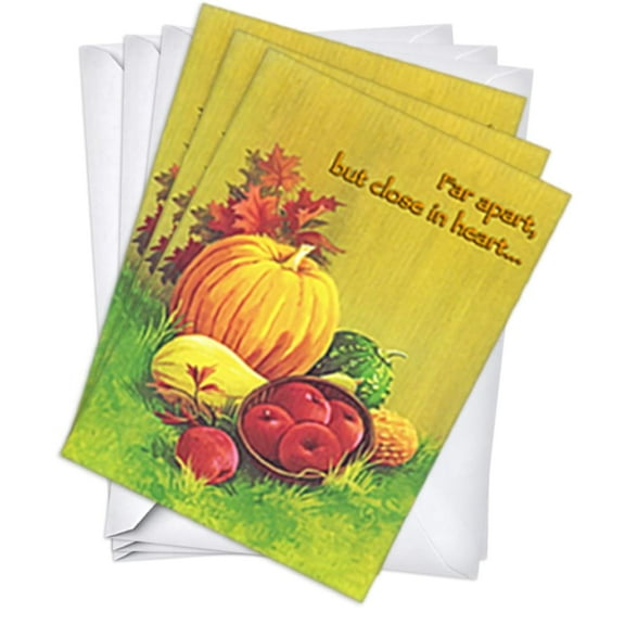Pumpkin & Gourd Harvest Vintage Retro Thanksgiving Greeting Cards | 3 Pack Set (5x7)