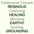 thumbnail image 4 of Aceite esencial Plant Therapy Organic Frankincenso Frereana, 10 ml, 4 of 9