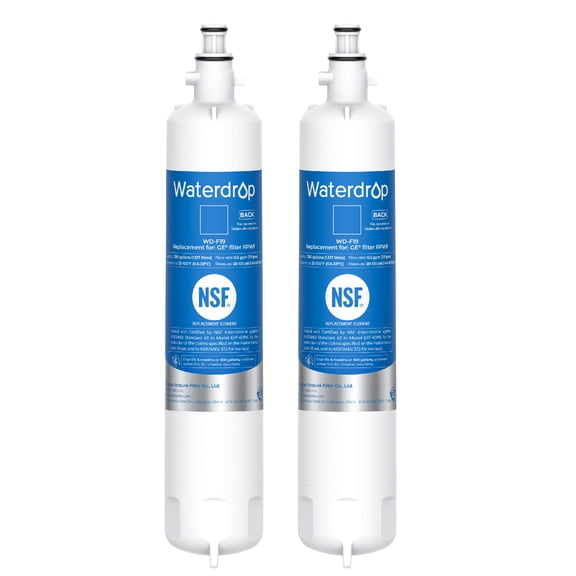 Waterdrop RPWF Refrigerator Water Filter Replacement for GE® RPWF, RWF1063, RWF3600A, WSG-4, DWF-36, R-3600, MPF15350, OPFG3-RF300, BCF77, WF277