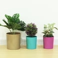 thumbnail image 5 of Uxcell 6" Round Plastic Planter Flowerpot Container Indoor Outdoor, Pink 4 Pack, 5 of 6