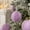 💖 Purple_Base#290, variant on Purple Christmas Ball Ornaments Light Foam Hanging Baubles for Holiday Tree Party Decor