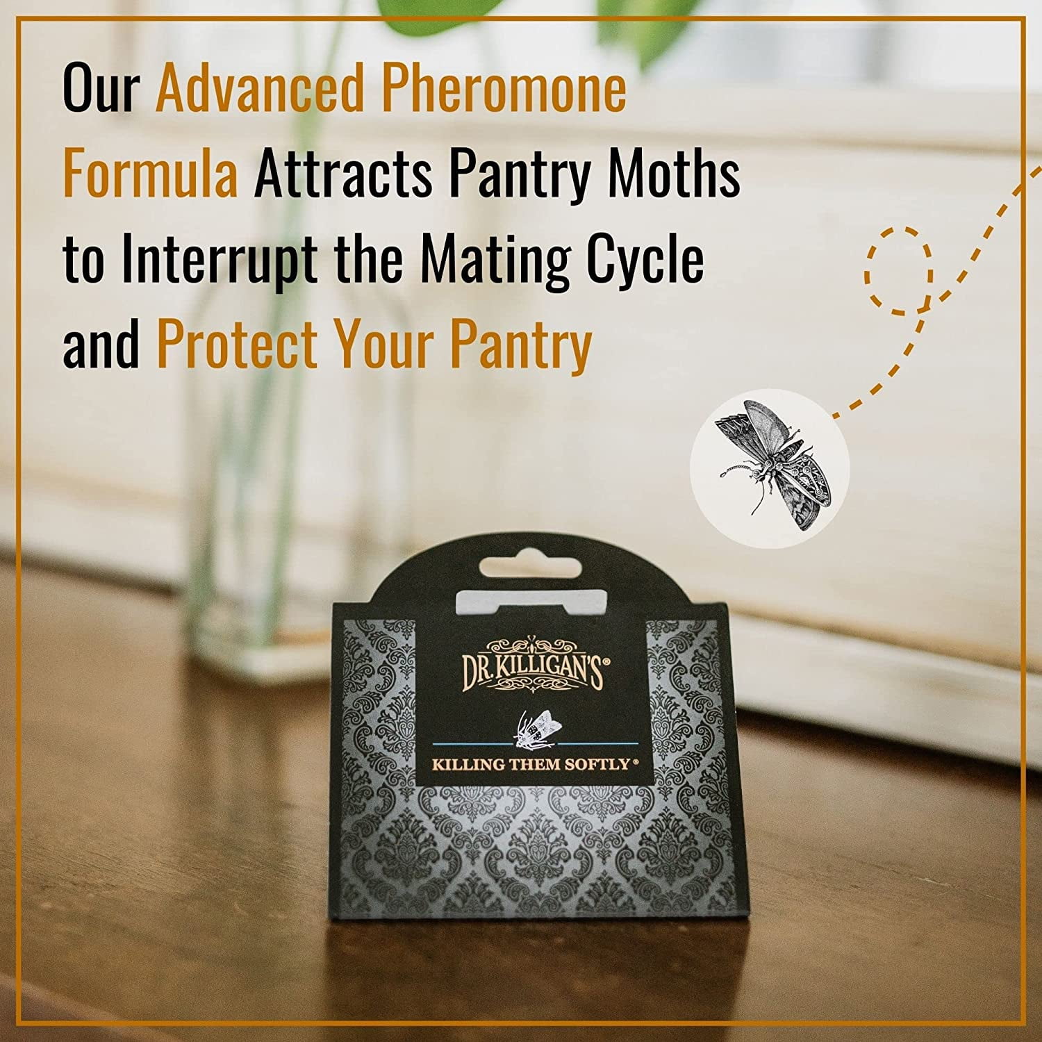 Premium Double Potent Pantry Moth Traps with Pheromones Prime, Sticky Indian Meal Moth Traps for Kitchen, How to Get Rid of Moths in House (6 Pack, Black)