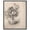 Black Frame, variant on Flowers in a Pitcher Canvas Vintage Botanicals by Art Remedy, Gallery Wrapped, 20" x 24"