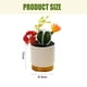 thumbnail image 2 of Planta de simulación en maceta para interior, planta tropical, bonsái de cactus, flor artificial, 2 of 5