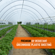 Farm Plastic Supply - Clear Greenhouse Plastic Sheeting - 6 mil - (25 x 100) - 4 Year UV Resistant Polyethylene Greenhouse Film, Hoop House Green House Cover for Gardening, Farming, Agriculture