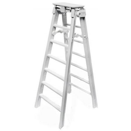 wrestling ladder toy