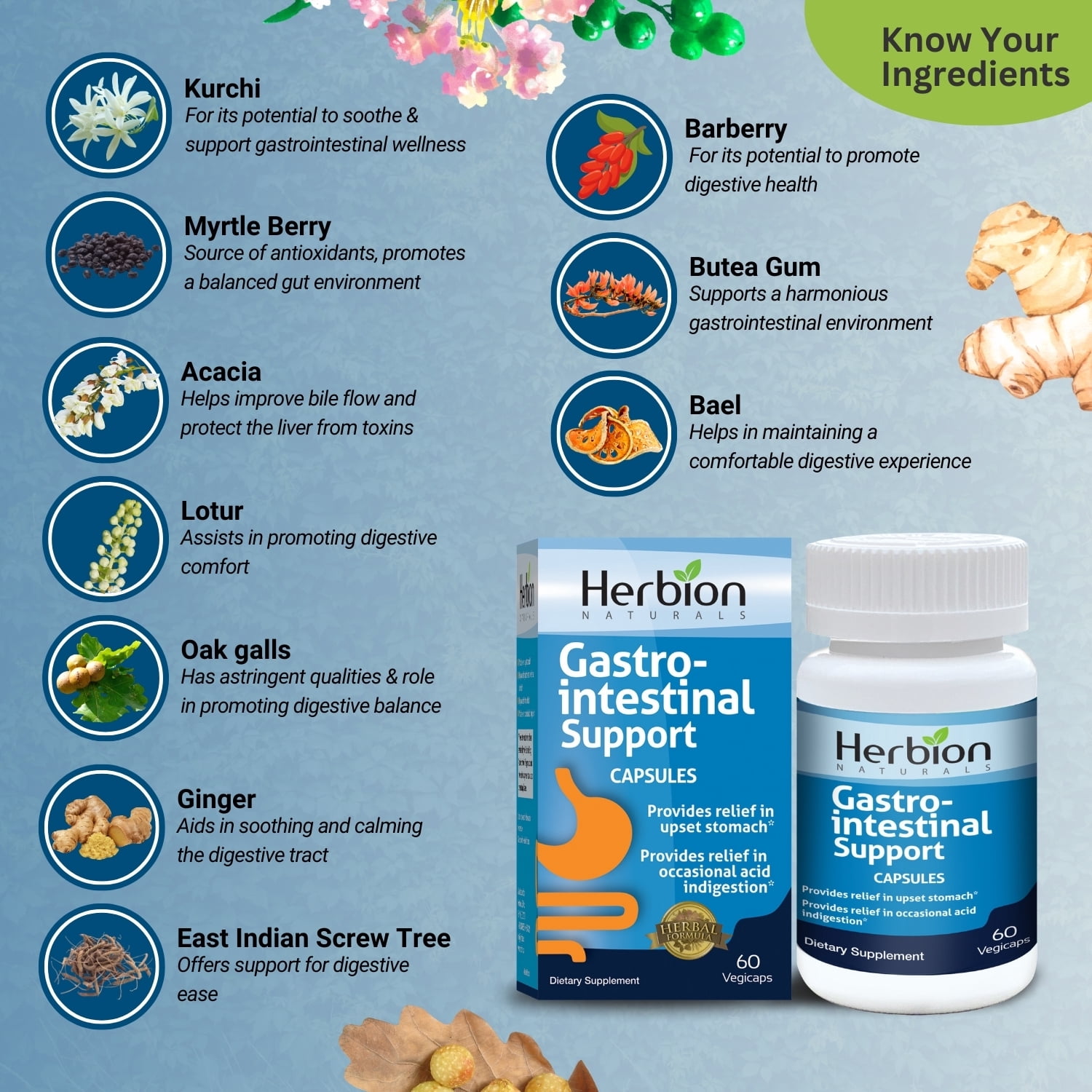Herbion Naturals Gastro-intestinal Support Herbal Blend for Upset Stomach Relief, Gastrointestinal Health and Function, Occasional Acid Indigestion, Healthy Intestinal Flora, 60 Vegicaps