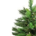 thumbnail image 3 of Northlight 3' Prelit Artificial Christmas Tree New Carolina Spruce - Clear Lights, 3 of 6