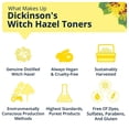 thumbnail image 3 of Tónico hidratante Dickinson's Enhanced Witch Hazel, 480 ml, 3 of 8