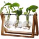 thumbnail image 1 of Planta con soporte de madera, lámpara de aire, jarrón de vidrio, soporte giratorio de metal, mesa retro compatible con la hidropónica, decoración de oficina, jardín de hogar, 3 Afortunado Sencillez, 1 of 5