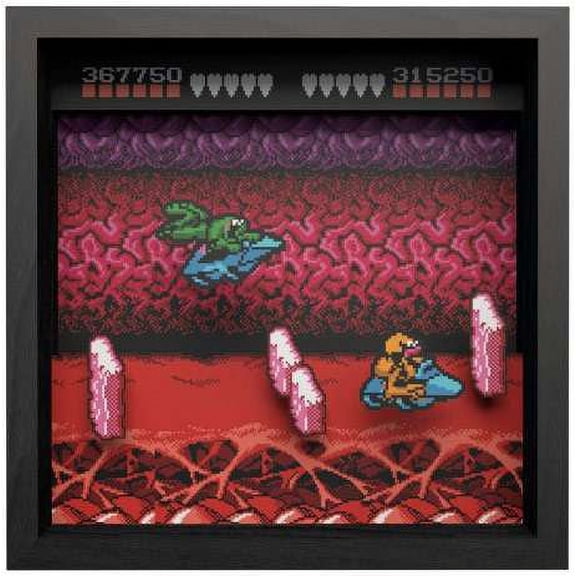 Battletoads Pixel Frames Turbo Tunnel Shadow Box Art (9x9)