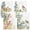 Birds, variant on Current Spring Birds Birthday Greeting Cards Value Pack - Set of 8, Single Design, Large 5 x 7 Inch Cards, Sentiments Inside, Envelopes Included